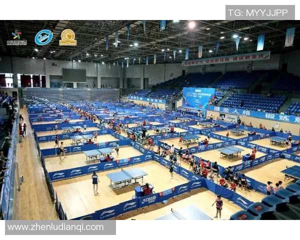 全国锦标赛回顾：北京乒乓球队技术水平的全面分析与展望